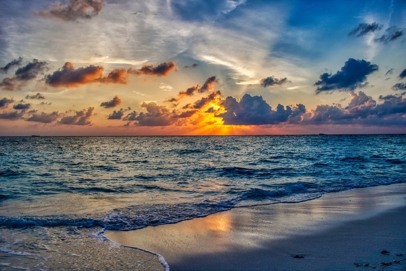 Sunshine Harmony